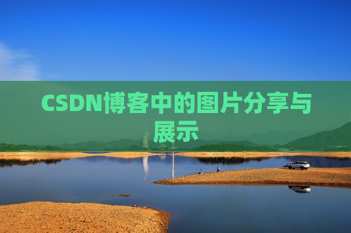 CSDN博客中的图片分享与展示